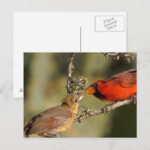 VS, Texas, Rio Grande Valley, McAllen. Med Briefkaart (Voorkant / Achterkant)