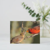 VS, Texas, Rio Grande Valley, McAllen. Med Briefkaart (Staand voorkant)