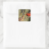 VS, Texas, Rio Grande Valley, McAllen. Med Vierkante Sticker (Tas)