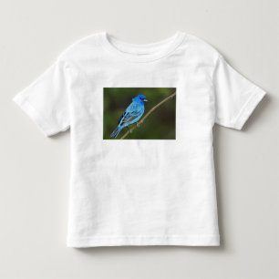 VS, Texas, South Padre Island Kinder Shirts