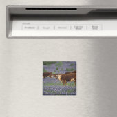 VS, Texas, Texas Hill Country, Hereford Magneet (Insitu (Vaatwasser))