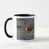 VS, Texas, Texas Hill Country, Hereford Mok (Links)