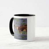 VS, Texas, Texas Hill Country, Hereford Mok (Voorkant links)