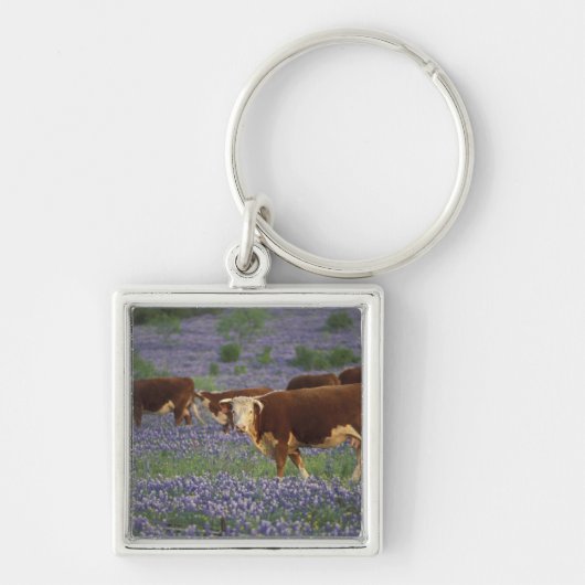 VS, Texas, Texas Hill Country, Hereford Sleutelhanger (Voorkant)