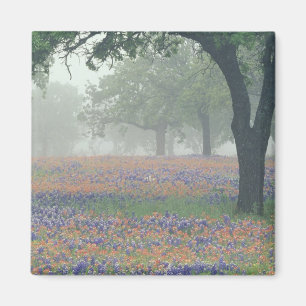 VS, Texas. Texas paintbrush en bluebonnets Magneet