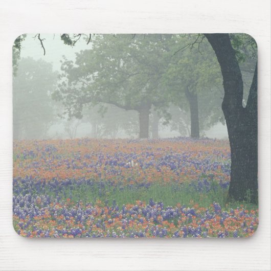 VS, Texas. Texaspenseel en blauwe klokjes Muismat (Voorkant)
