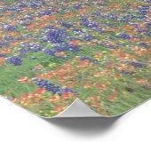 VS, Texas. Texaspenseel en blauwe klokjes Poster (Hoek)