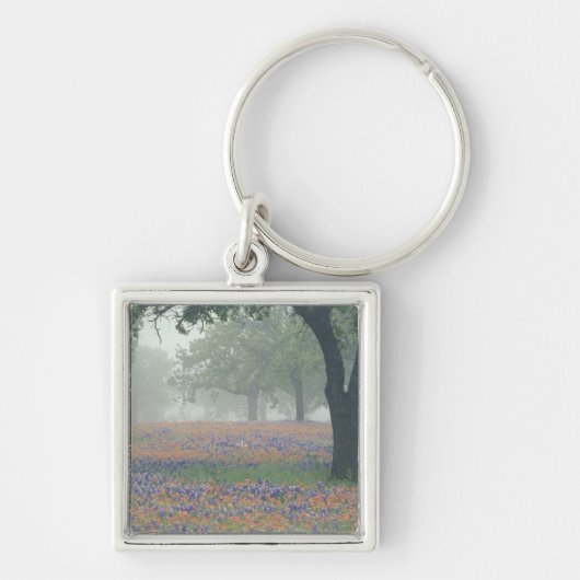 VS, Texas. Texaspenseel en bluebonnets Sleutelhanger (Voorkant)