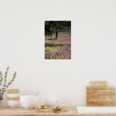VS, Texas, Zand Verbena en Brown-eyed Poster (Keuken)