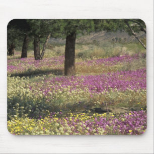VS, Texas, Zand Verbena en Bruine ogen Muismat