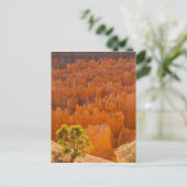 VS, Utah, Bryce Canyon National Park Briefkaart (Staand voorkant)