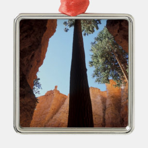 VS, Utah, Bryce Canyon National Park. Hoge Metalen Ornament