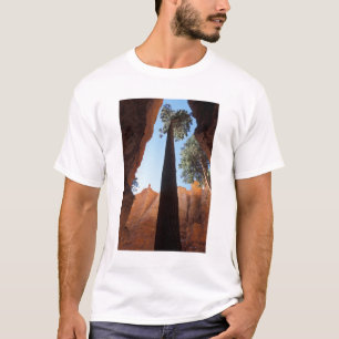 VS, Utah, Bryce Canyon National Park. Hoge T-shirt