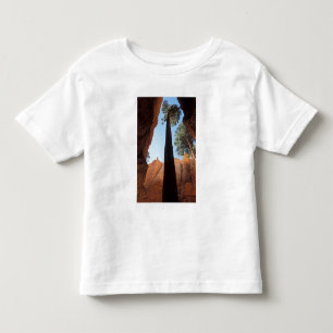 VS, Utah, Bryce Canyon National Park. Hoog Kinder Shirts