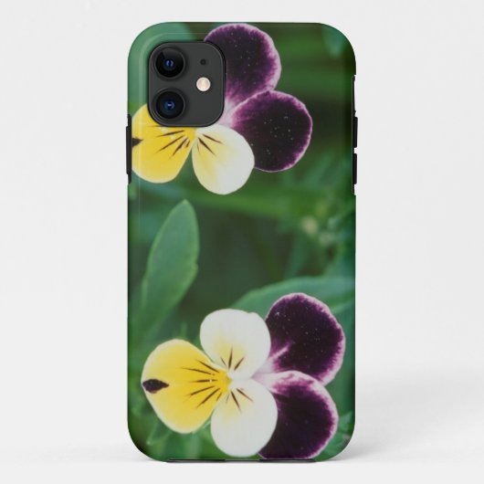 VS, Utah, Cache Valley, Johnny Jump Up Case-Mate iPhone Case (Achterkant)