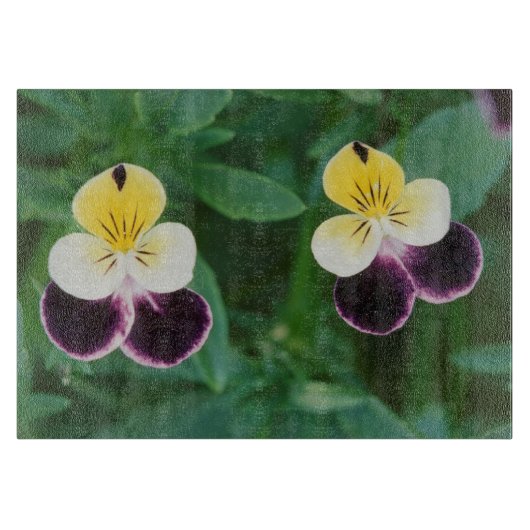 VS, Utah, Cache Valley, Johnny Jump Up Snijplank (Voorkant)