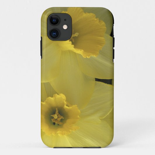 VS, Utah, Cache Valley Narcissen Case-Mate iPhone Case (Achterkant)