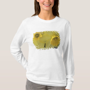 VS, Utah, Cache Valley Narcissen T-shirt