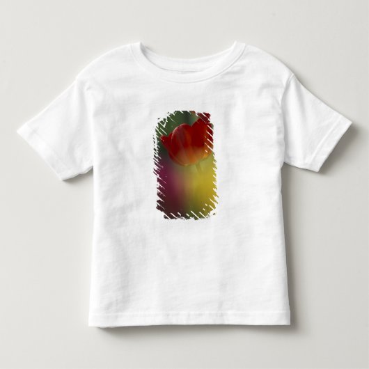 VS, Utah, Cache Valley Tulpen in een tuin Kinder Shirts (Voorkant)