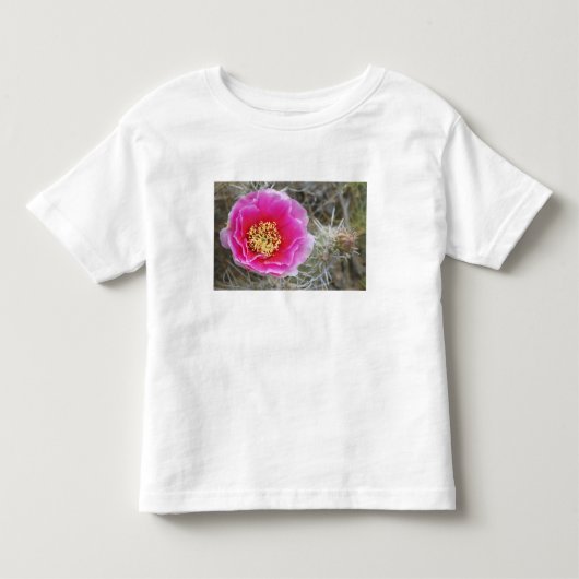 VS, Utah, Canyonlands NP, Desert Prickly Pear Kinder Shirts (Voorkant)