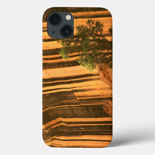 VS, Utah, Capitol Reef National Park Case-Mate iPhone Case (Achterkant)