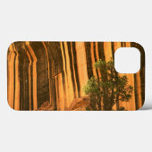 VS, Utah, Capitol Reef National Park Case-Mate iPhone Case (Achterkant (horizontaal))