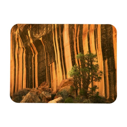 VS, Utah, Capitol Reef National Park Magneet (Horizontaal)