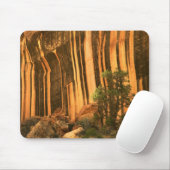 VS, Utah, Capitol Reef National Park Muismat (Met muis)