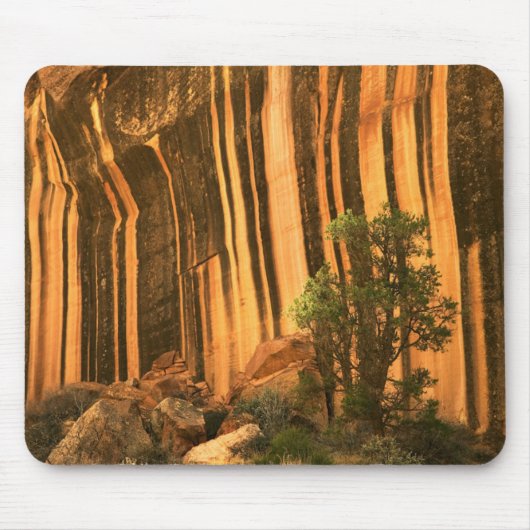 VS, Utah, Capitol Reef National Park Muismat (Voorkant)