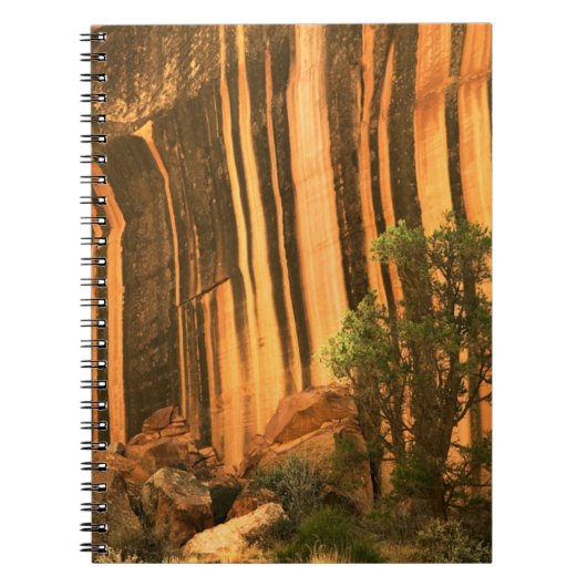 VS, Utah, Capitol Reef National Park Notitieboek (Voorkant)