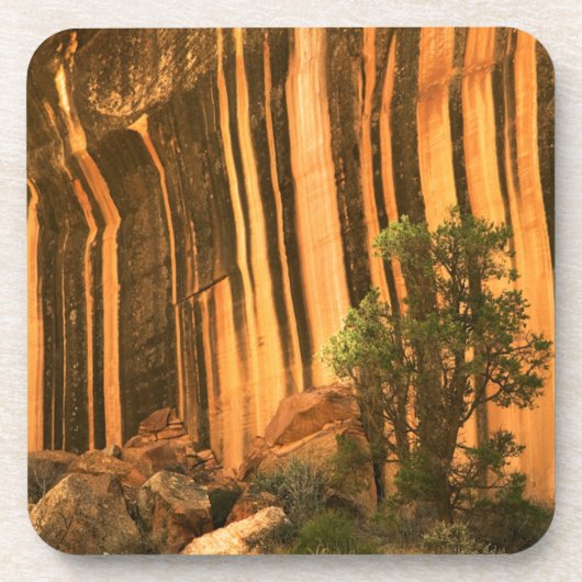 VS, Utah, Capitol Reef National Park Onderzetter (Voorkant)
