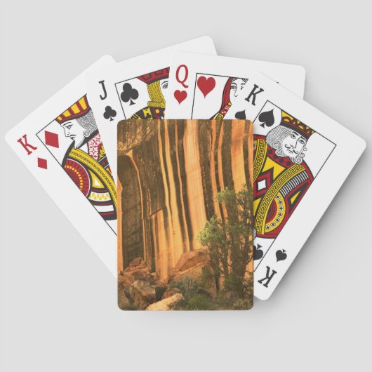 VS, Utah, Capitol Reef National Park Pokerkaarten (Achterkant)