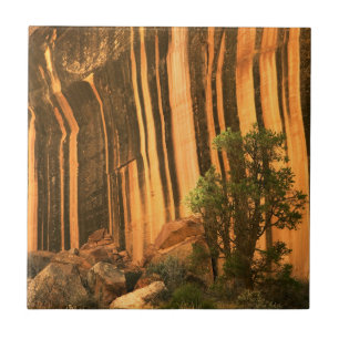 VS, Utah, Capitol Reef National Park Tegeltje