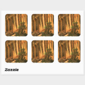 VS, Utah, Capitol Reef National Park Vierkante Sticker (Vel)