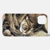 VS, Utah, Capitol Reef NP. Slaande tabby kat Case-Mate iPhone Case (Achterkant (horizontaal))