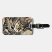 VS, Utah, Capitol Reef NP. Slapende tabby kat Bagagelabel (Voorkant horizontaal)