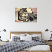 VS, Utah, Capitol Reef NP. Slapende tabbykat Canvas Afdruk (Insitu (Slaapkamer))