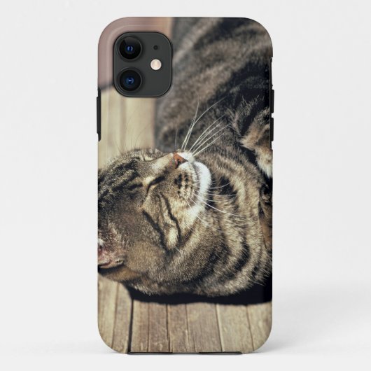 VS, Utah, Capitol Reef NP. Slapende tabbykat Case-Mate iPhone Case (Achterkant)