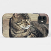 VS, Utah, Capitol Reef NP. Slapende tabbykat Case-Mate iPhone Case (Achterkant (horizontaal))