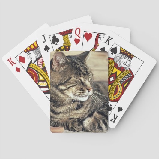 VS, Utah, Capitol Reef NP. Slapende tabbykat Pokerkaarten (Achterkant)