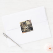 VS, Utah, Capitol Reef NP. Slapende tabbykat Vierkante Sticker (Envelop)