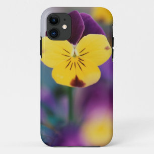 VS, Utah, Close-up van Viola tricolor in tuin Case-Mate iPhone Case