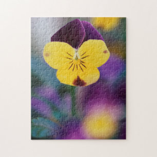 VS, Utah, Close-up van Viola tricolor in tuin Legpuzzel