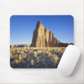 VS, Utah, Colorado Plateau, Lower Cathedral Muismat (Met muis)