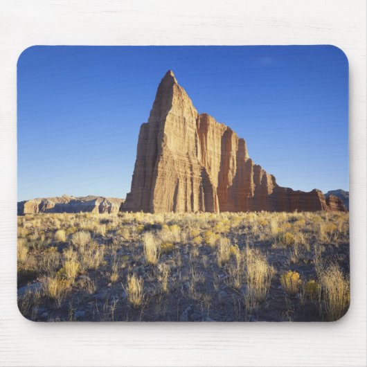 VS, Utah, Colorado Plateau, Lower Cathedral Muismat (Voorkant)