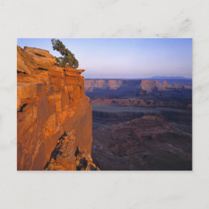 VS, Utah, Dead Horse Point SP. Laat licht kleurt Briefkaart