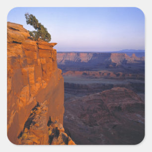 VS, Utah, Dead Horse Point SP. Laat licht kleurt Vierkante Sticker