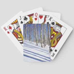 VS, Utah, Dixie National Forest, Aspen Grove Pokerkaarten