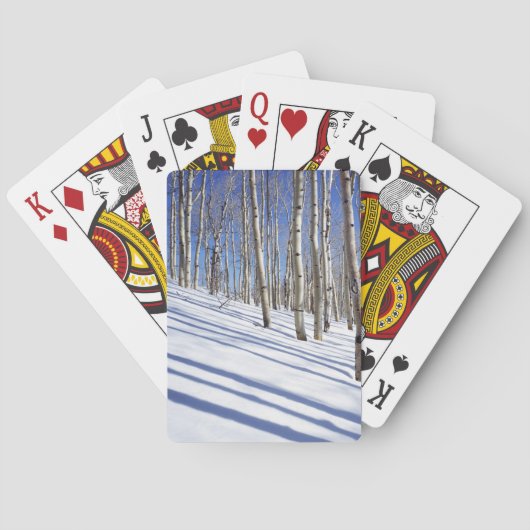 VS, Utah, Dixie National Forest, Aspen Grove Pokerkaarten (Achterkant)