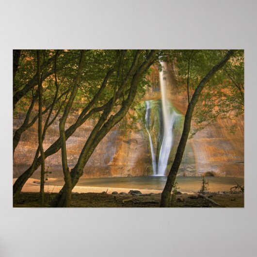 VS, Utah, Escalante Wilderness. Een uitzicht op Poster (Voorkant)